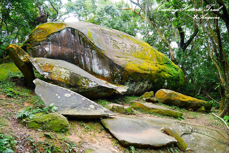 廖西瓜@2014東北角草嶺古道芒花季6