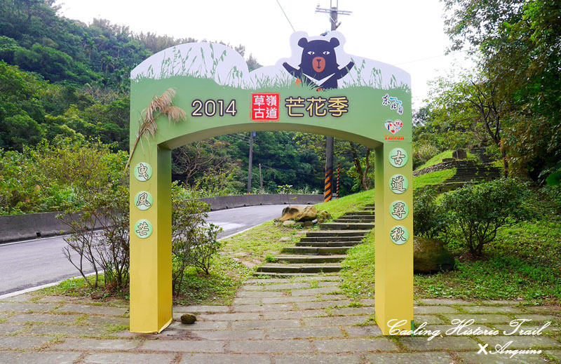 廖西瓜@2014東北角草嶺古道芒花季1