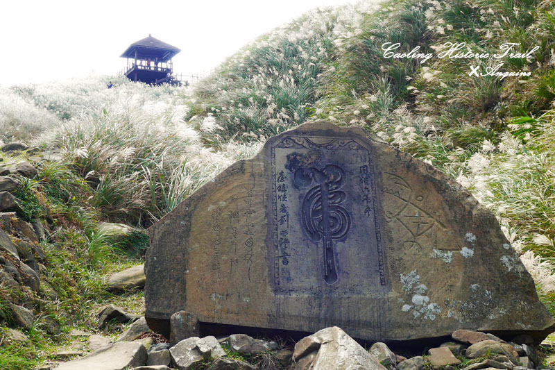 廖西瓜@2014東北角草嶺古道芒花季13