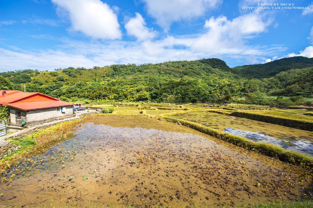 2014.Nov 草嶺古道芒花季