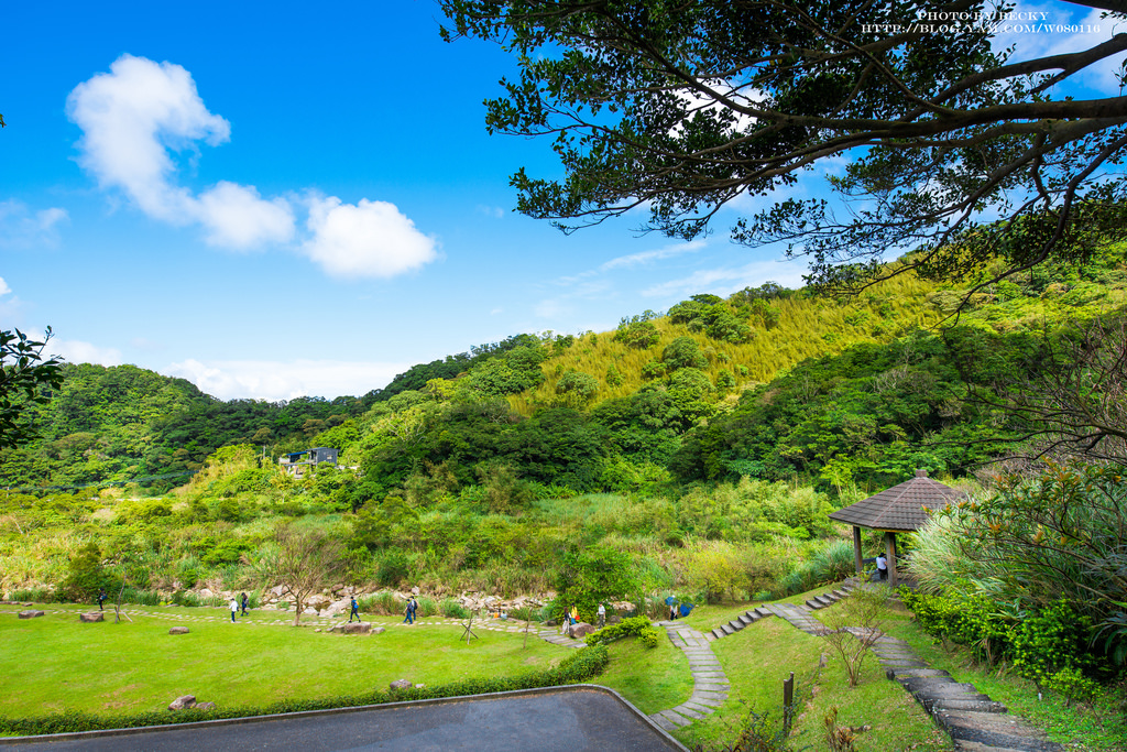 2014.Nov 草嶺古道芒花季