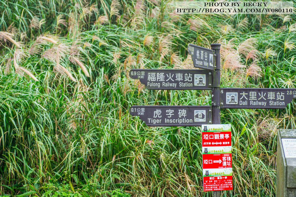 2014.Nov 草嶺古道芒花季