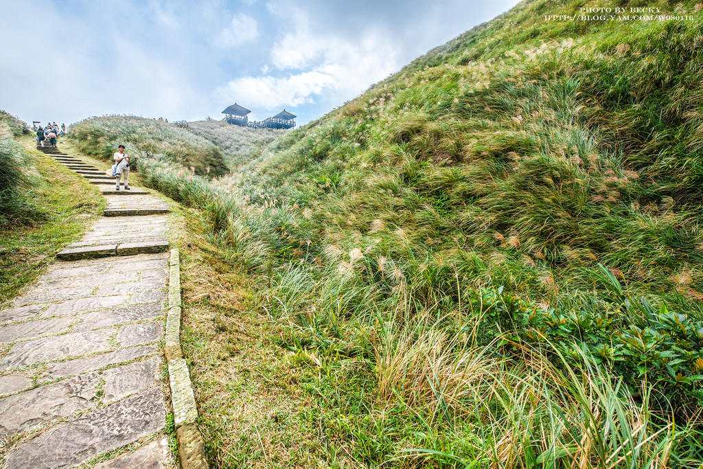 2014.Nov 草嶺古道芒花季