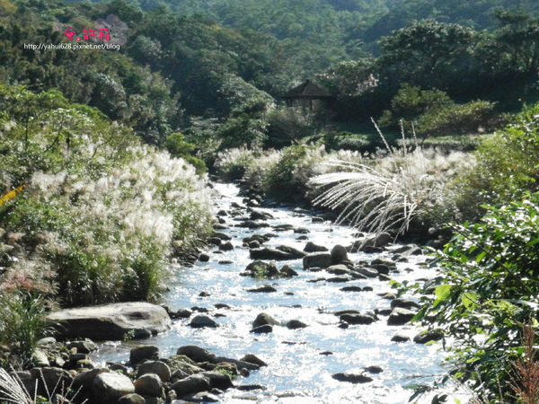 許莉。東北角草嶺古道