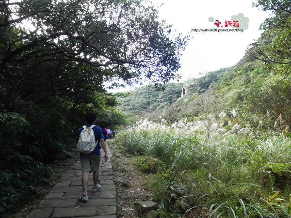 許莉。東北角草嶺古道