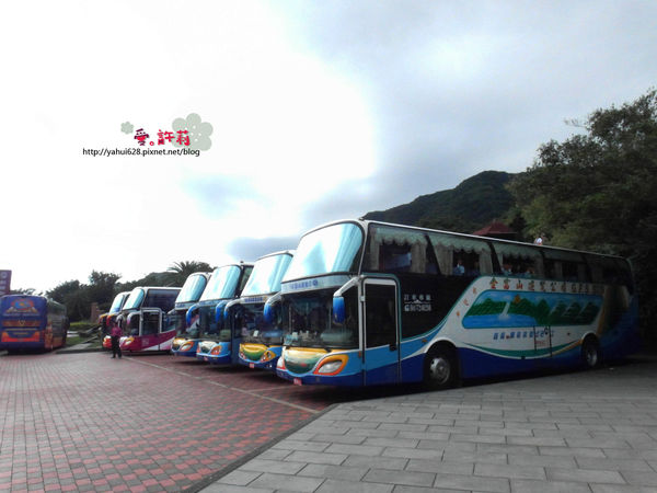 許莉。東北角草嶺古道