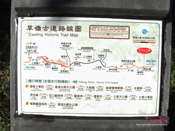 許莉。東北角草嶺古道