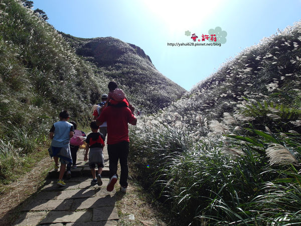 許莉。東北角草嶺古道