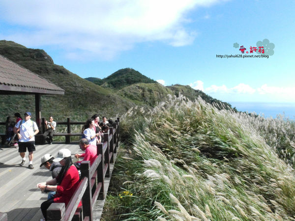 許莉。東北角草嶺古道