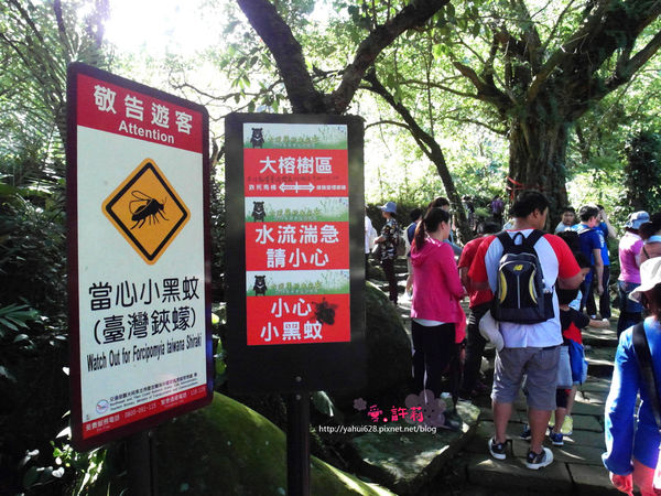 許莉。東北角草嶺古道