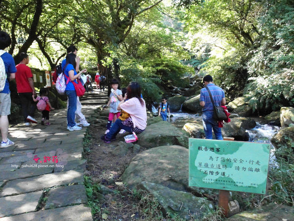 許莉。東北角草嶺古道