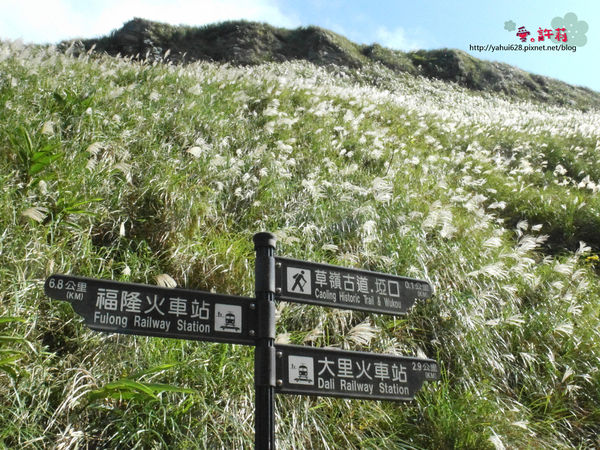 許莉。東北角草嶺古道