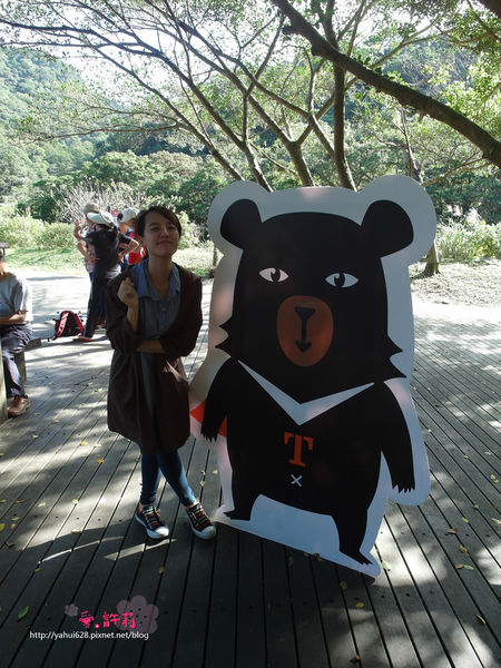 許莉。東北角草嶺古道