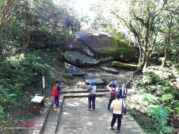 許莉。東北角草嶺古道