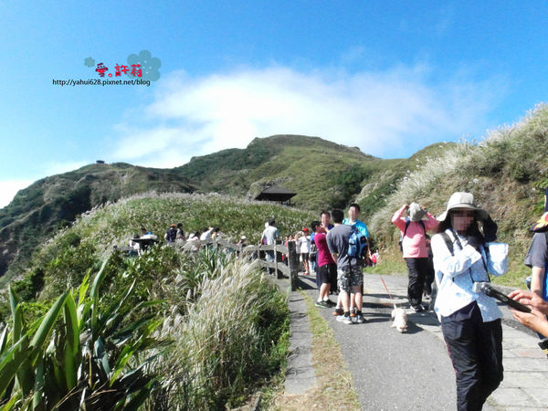 許莉。東北角草嶺古道
