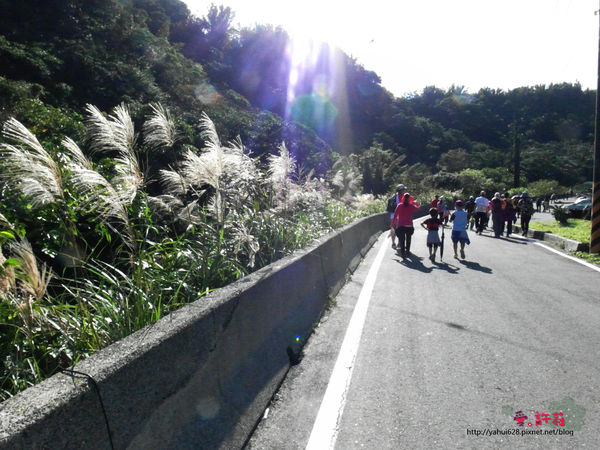 許莉。東北角草嶺古道