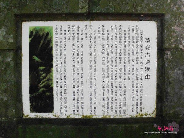 許莉。東北角草嶺古道