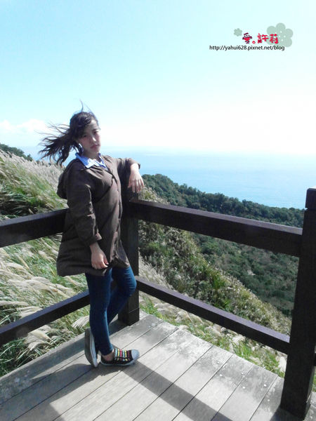 許莉。東北角草嶺古道