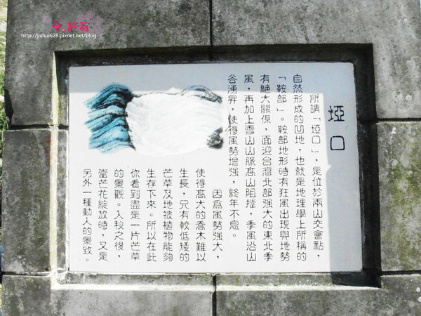 許莉。東北角草嶺古道