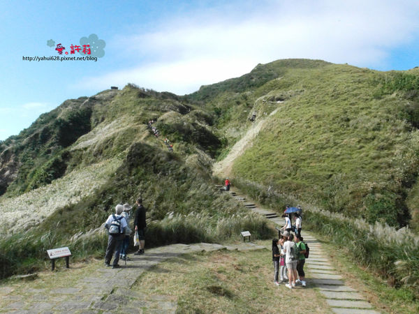 許莉。東北角草嶺古道