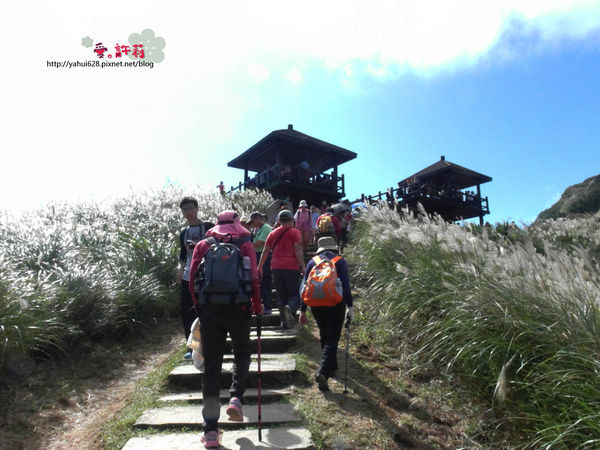 許莉。東北角草嶺古道