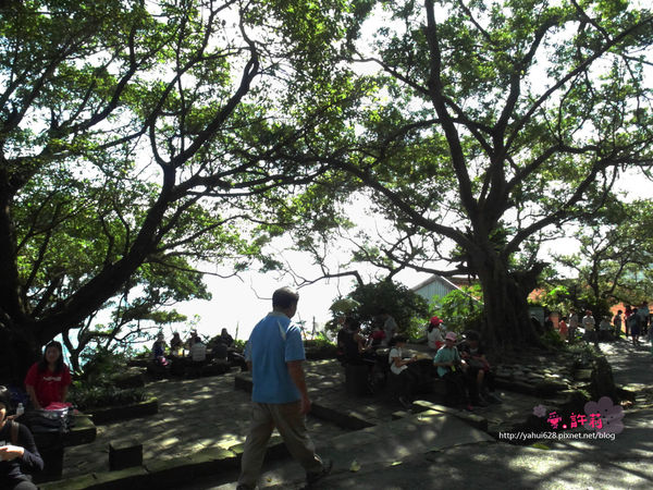 許莉。東北角草嶺古道