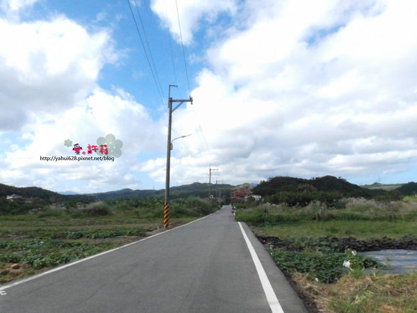 許莉。東北角草嶺古道