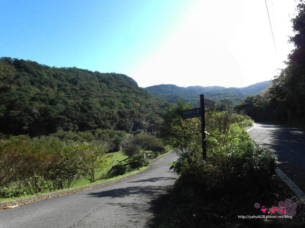 許莉。東北角草嶺古道