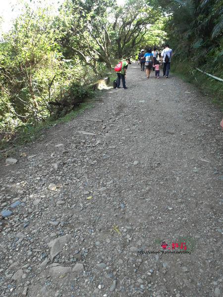 許莉。東北角草嶺古道
