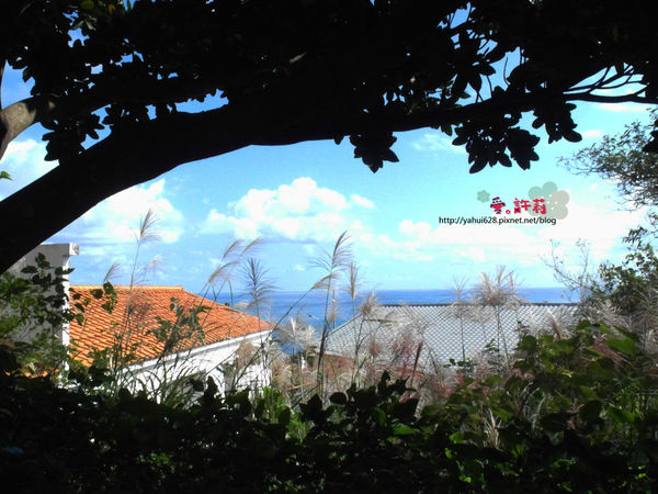 許莉。東北角草嶺古道