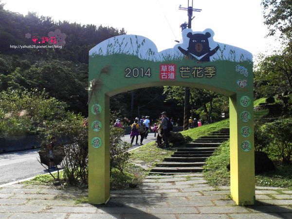 許莉。東北角草嶺古道