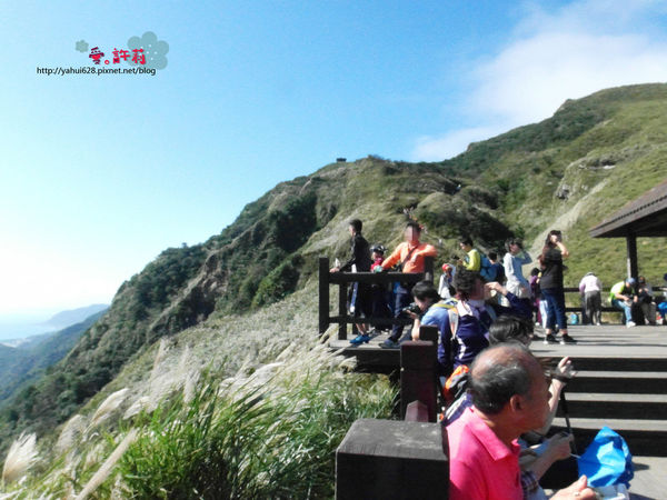 許莉。東北角草嶺古道