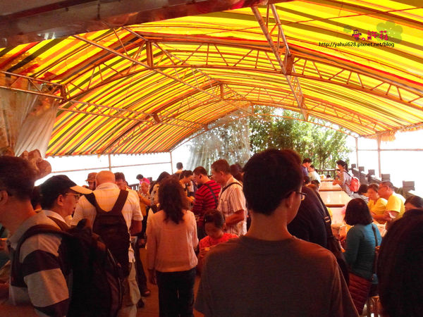 許莉。東北角草嶺古道