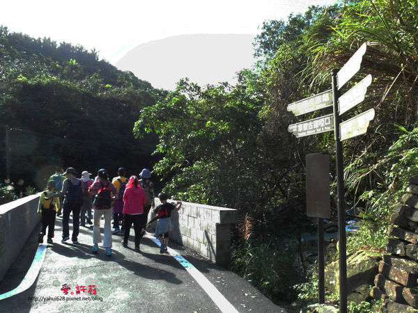 許莉。東北角草嶺古道