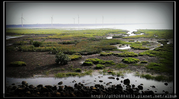 919289_567371976616848_1702616026_o