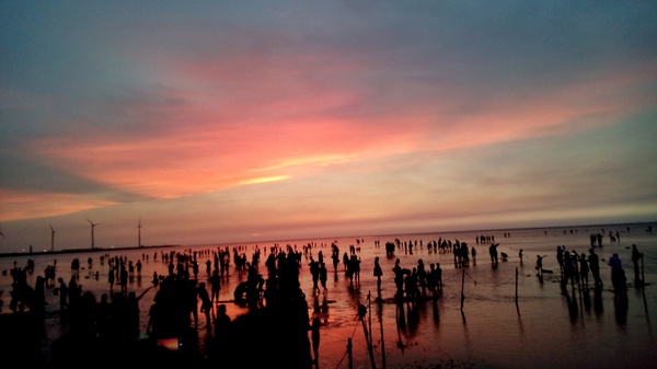 高美溼地:【台中清水.高美濕地】台中最美的溼地 ☆夏日戲水 四季觀夕陽 假日親子出遊好去處