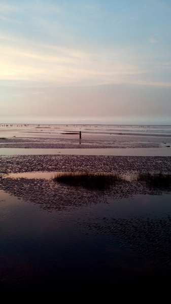 高美溼地:【台中清水.高美濕地】台中最美的溼地 ☆夏日戲水 四季觀夕陽 假日親子出遊好去處