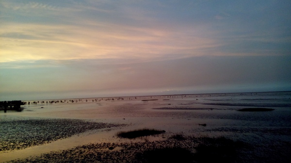 高美溼地:【台中清水.高美濕地】台中最美的溼地 ☆夏日戲水 四季觀夕陽 假日親子出遊好去處
