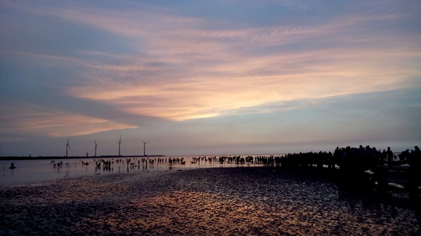 高美溼地:【台中清水.高美濕地】台中最美的溼地 ☆夏日戲水 四季觀夕陽 假日親子出遊好去處