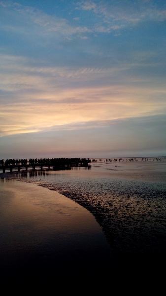 高美溼地:【台中清水.高美濕地】台中最美的溼地 ☆夏日戲水 四季觀夕陽 假日親子出遊好去處