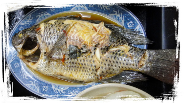 今大魯肉飯:【台北三重】跟著非凡新聞與食尚玩家尋找隱藏版魯肉飯