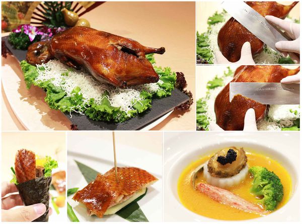 【新莊】新農園餐廳-美味港點、無菜單料理、經典烤鴨