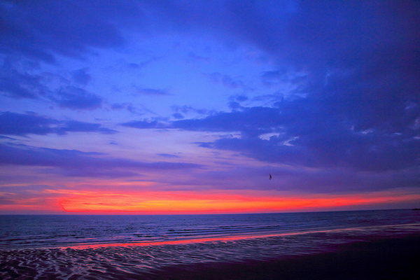 海天一線看海區：[遊記]【新竹市】南寮漁港。 海天一線看海區火燒雲美景