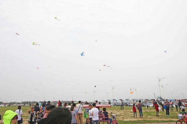 【新竹旅遊】新竹南寮漁港-十七里海岸線親子一日遊