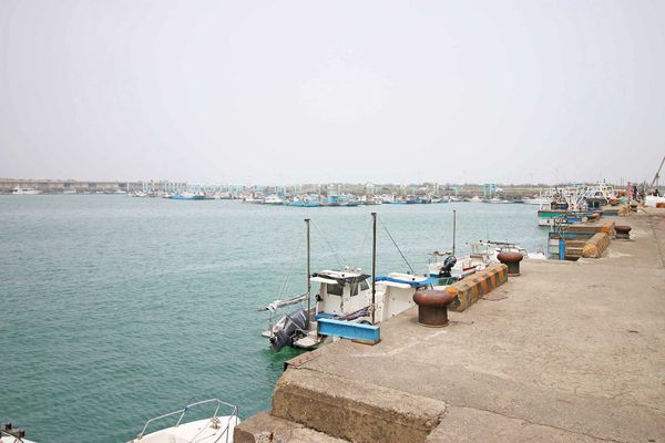 【新竹旅遊】新竹南寮漁港-十七里海岸線親子一日遊