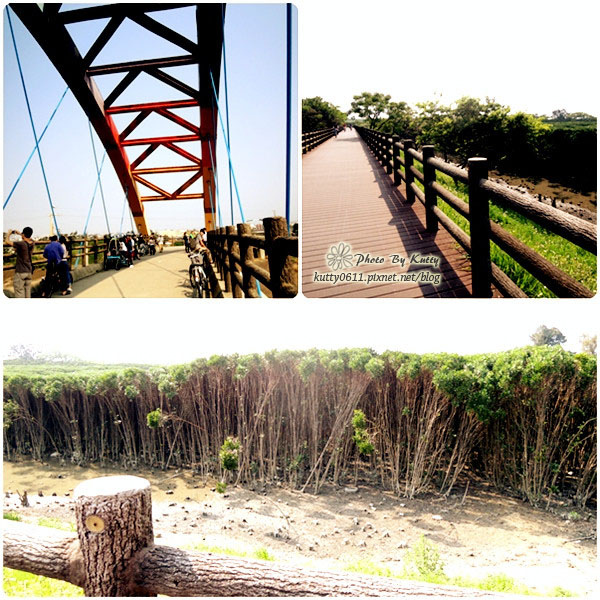 2014-4-5南寮17公里腳踏車 (5).jpg