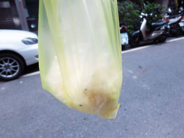 【蘆洲美食】港式阿郎鮮肉包-皮薄餡多會爆漿的水煎包