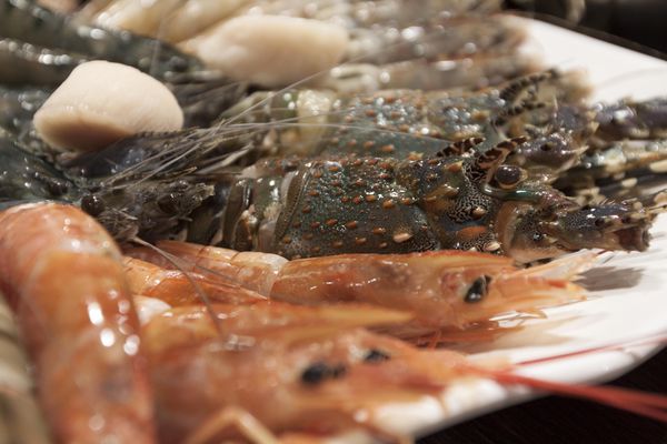 正官木桶鍋 - 14