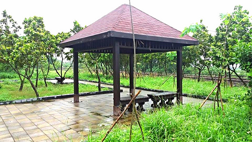 崎頂隧道文化公園：【苗栗景點】崎頂隧道文化公園子母隧道