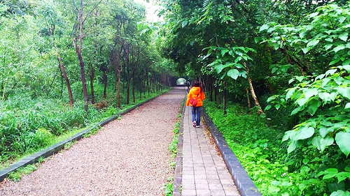 崎頂隧道文化公園：【苗栗景點】崎頂隧道文化公園子母隧道